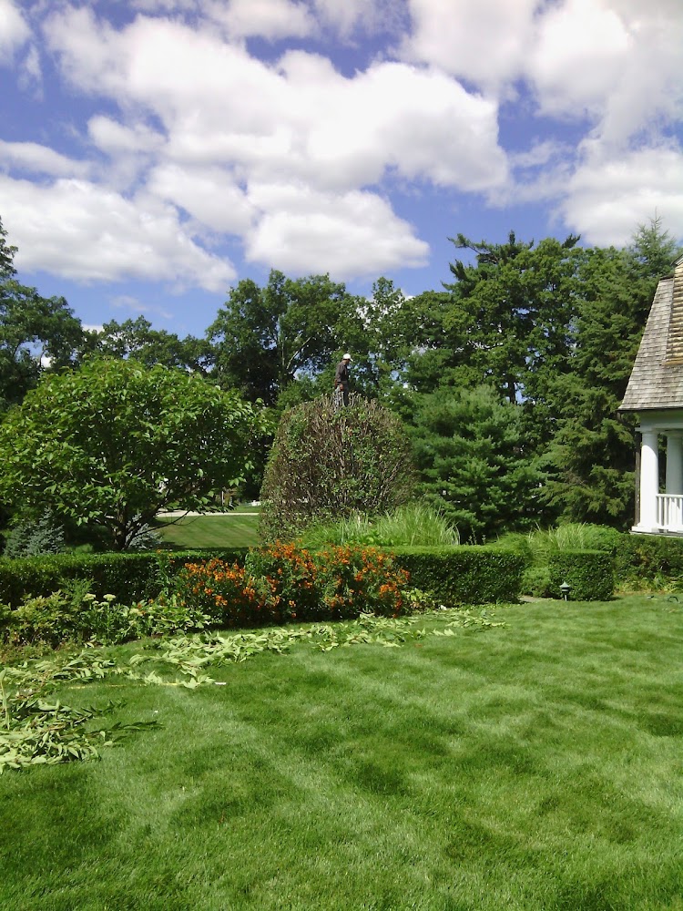 Lawn & gardening LLC