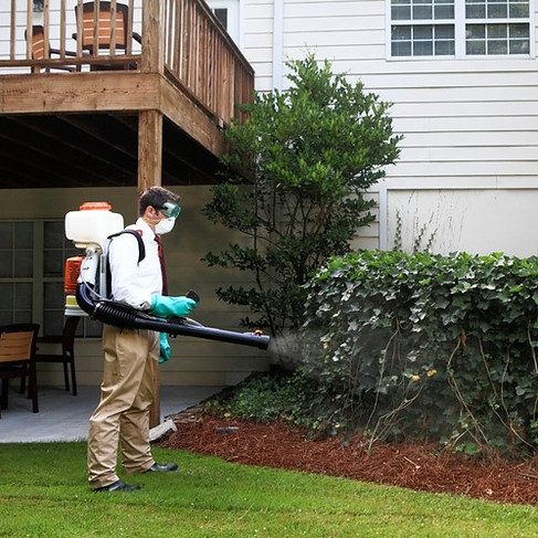 Franchina's Lawn Services Inc