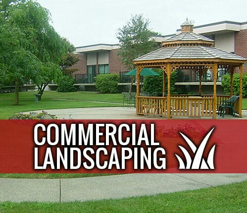 Landscaping by Nicholas J Murano Llc