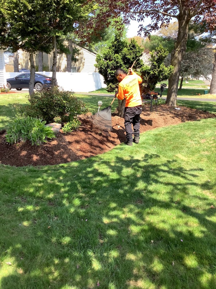 Collegiate Landscaping