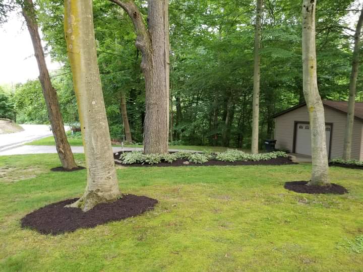 Father's Nature Cleaning+