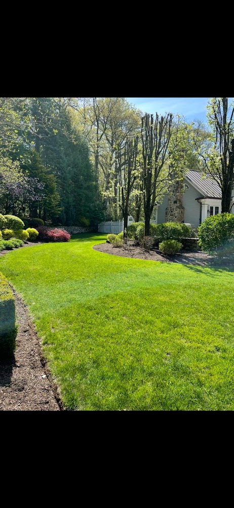 Escalante Landscaping Services LLC