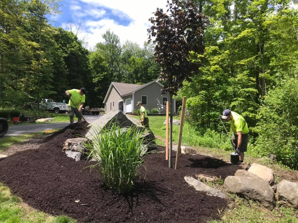 B&D Landscaping Lawn Maintenance LLC