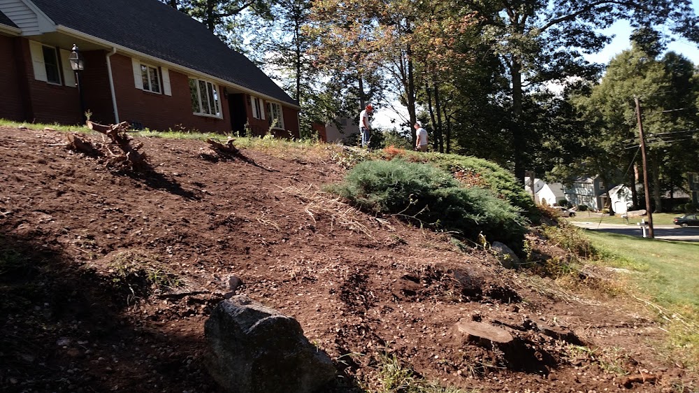 Carone and Sons Landscaping LLC