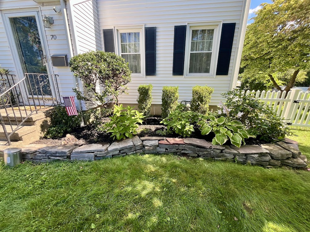 Carmody Garden Care
