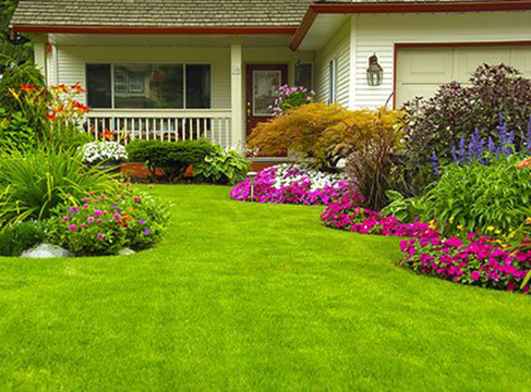 Northwest Lawn