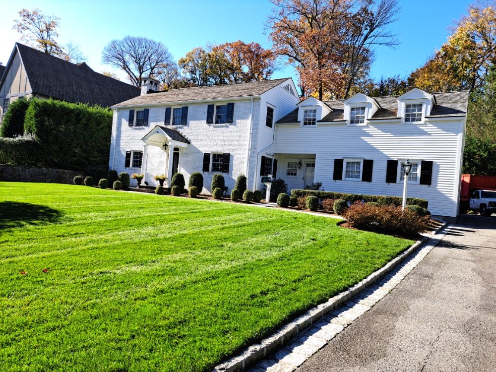 JCD Tree Service & Landscaping