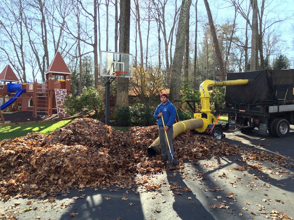 Raul Martinez Landscaping LLC