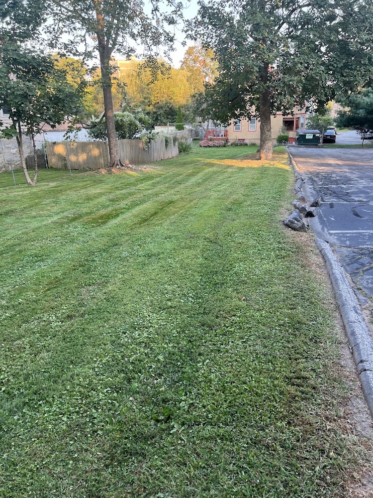 Tim's Lawn Care