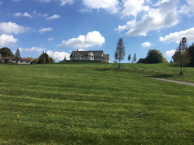 The Lawn Surgeon LLC