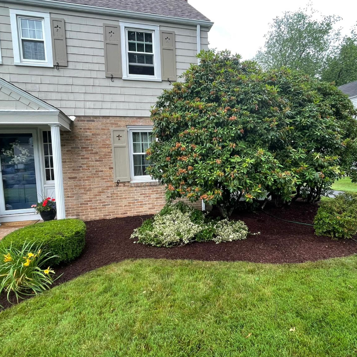 Raupp Landscape | Residential and Commercial