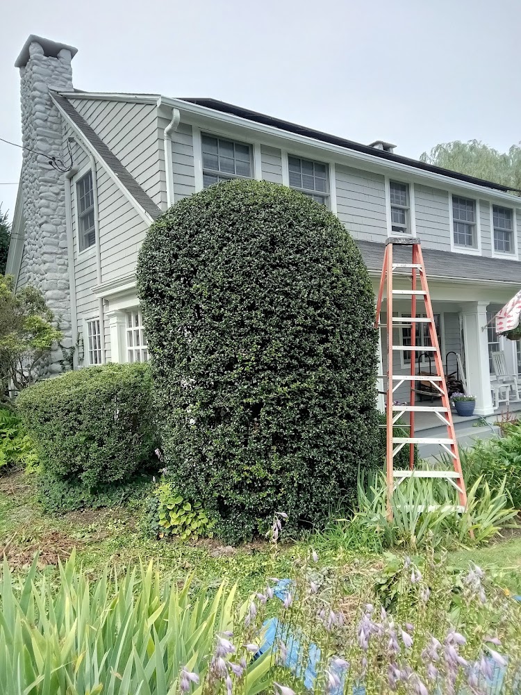 Landscaping Rosani Vasquez LLC