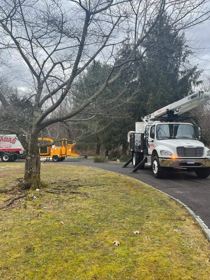 Posada's Landscaping Llc