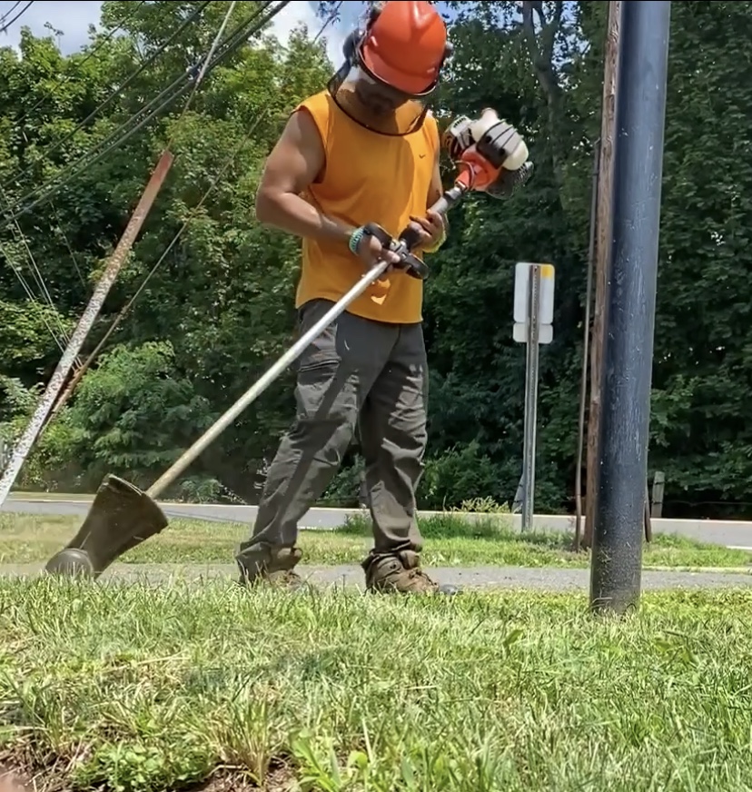 Miguel's Tree & Landscaping