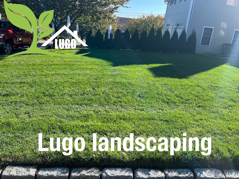 Lugo Landscaping