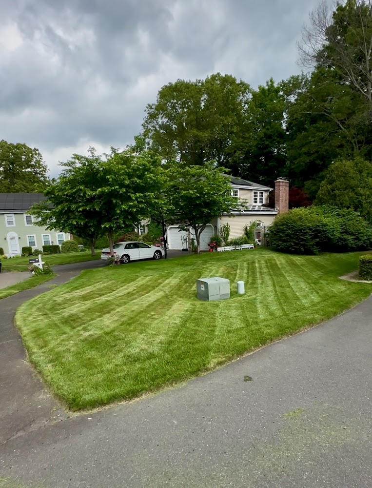 Undercut Tree & Landscape Services llc