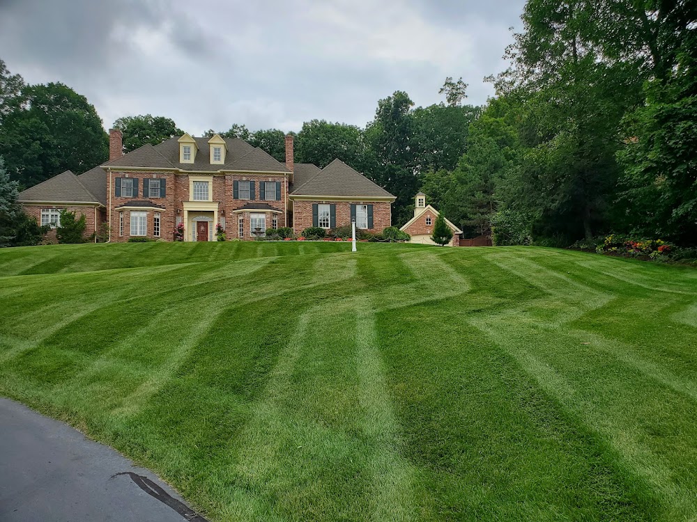 D'Amato Landscaping