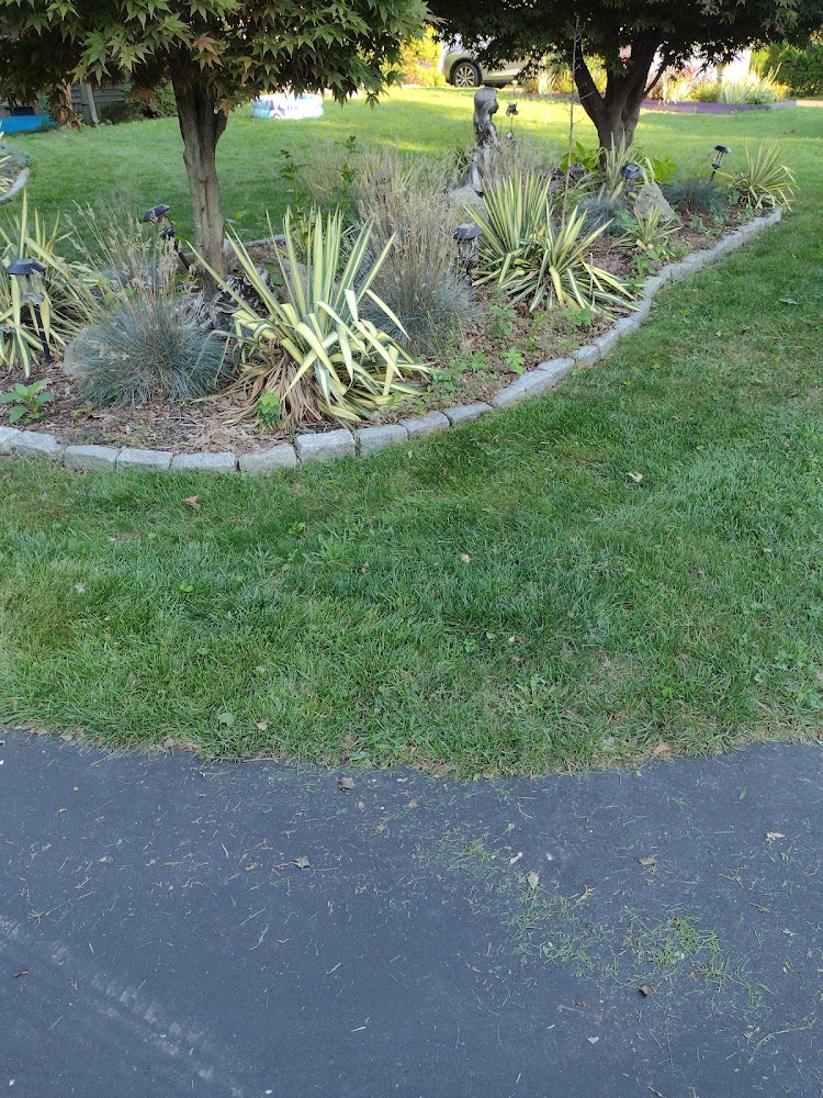 Spinelli Scenery Solutions LLC