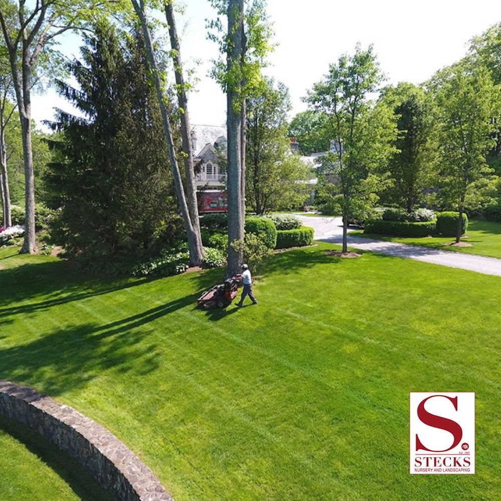 Stecks Nursery and Landscaping