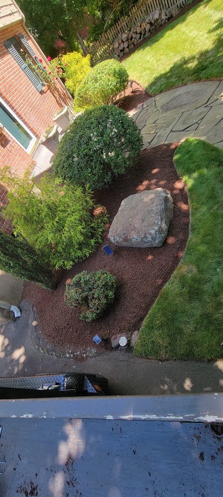 Temo Landscaping & Tree Service