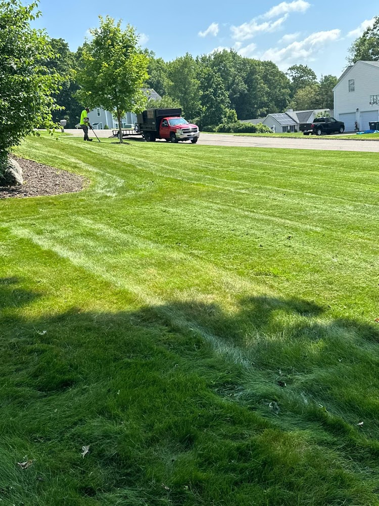 Trusted Landscaping Llc