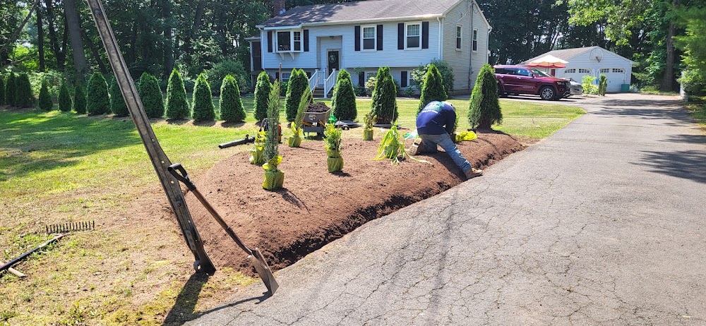 Amorales landscaping services llc & tree removal