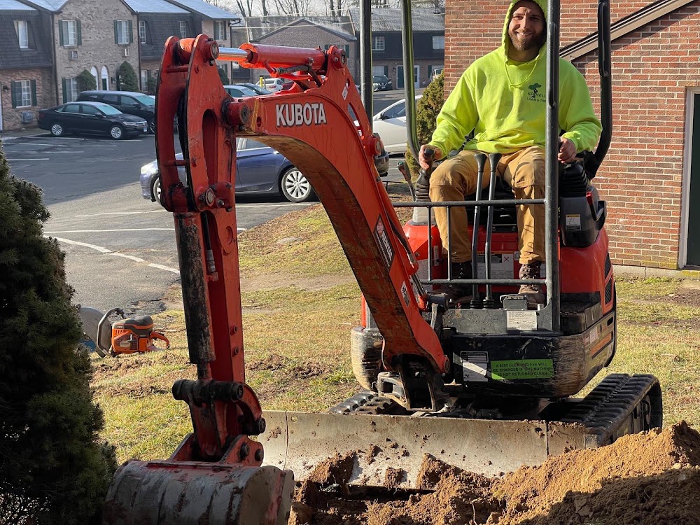 Brissett's Tree Removal
