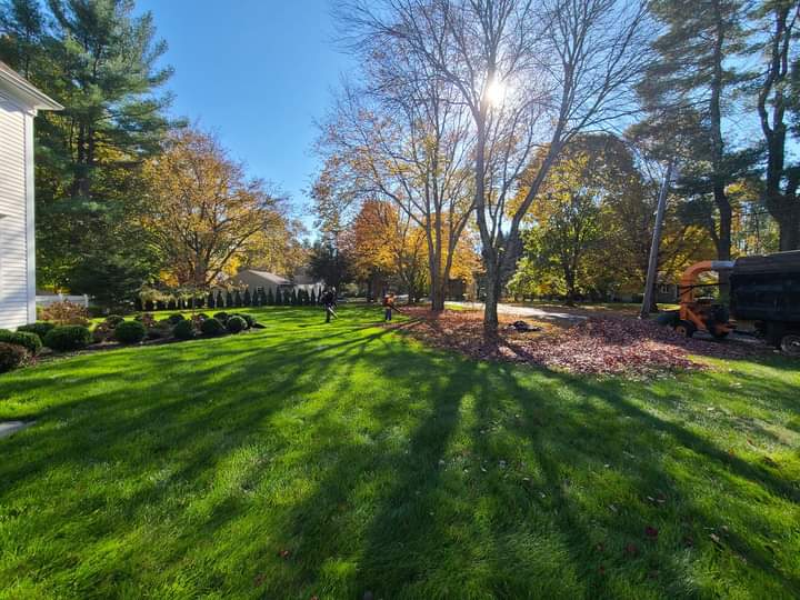 V&P Landscaping LLC