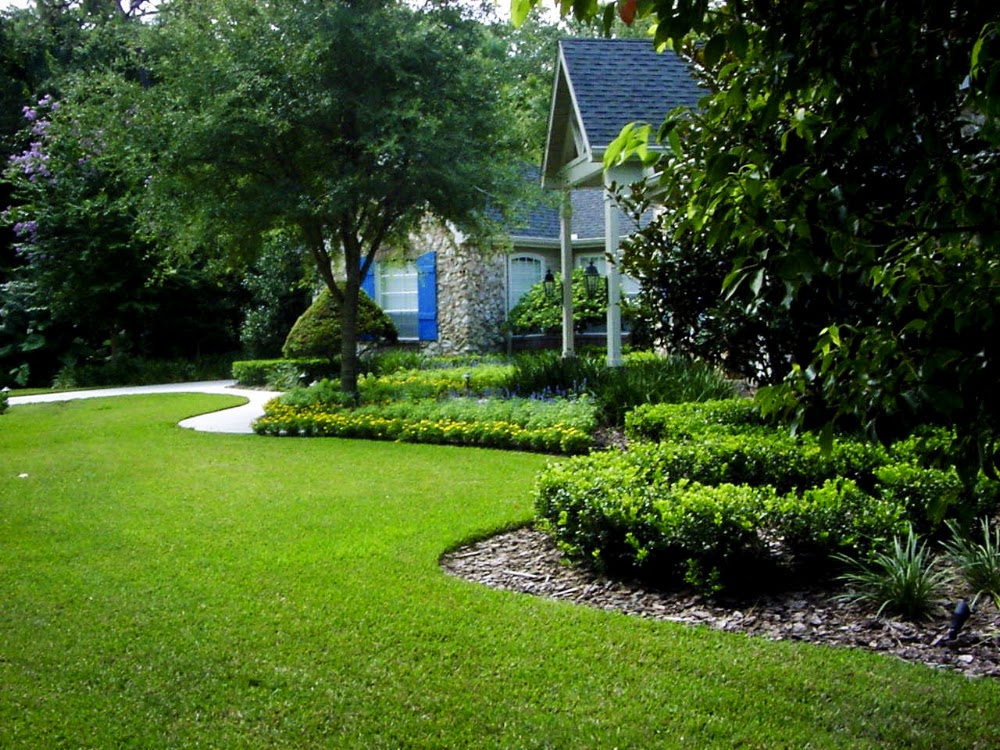 Gonzalez Landscaping & Home Care LLC