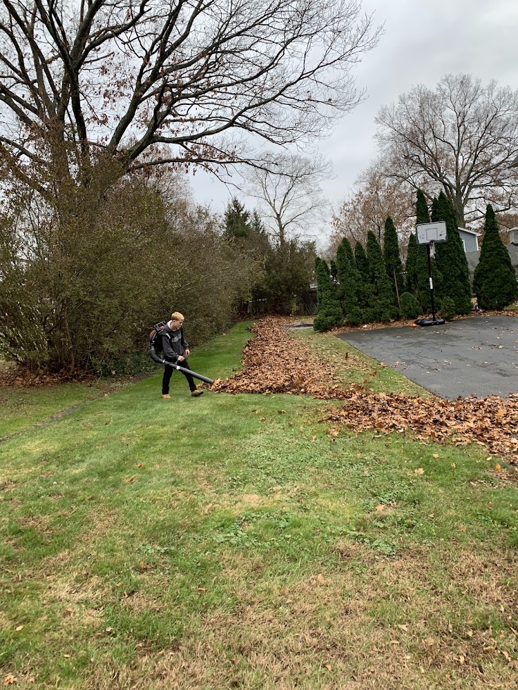 Byron Joels Tree Removal & Landscaping