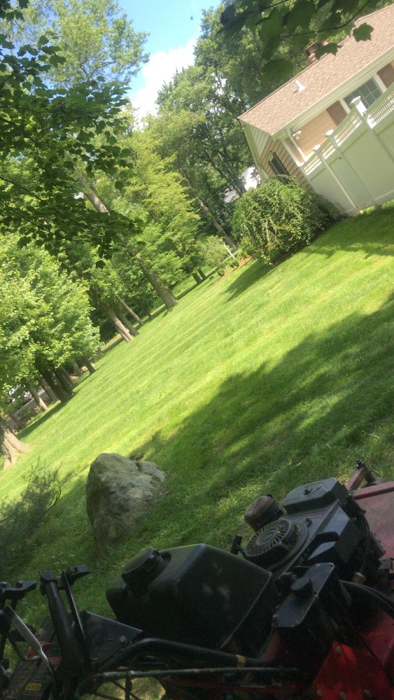 Loma Landscaping LLC