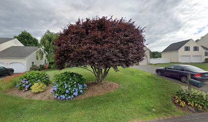 Griffin Landscaping Inc