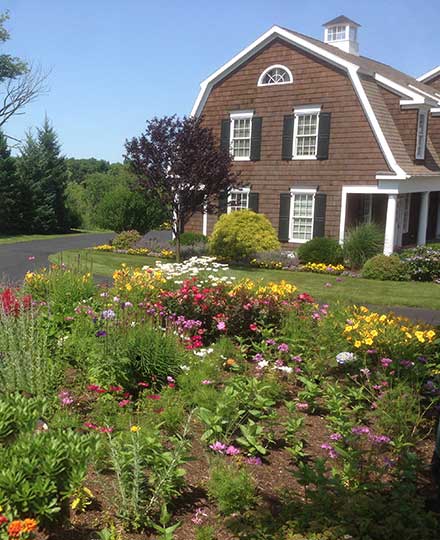 Donnellan & Sons Landscaping
