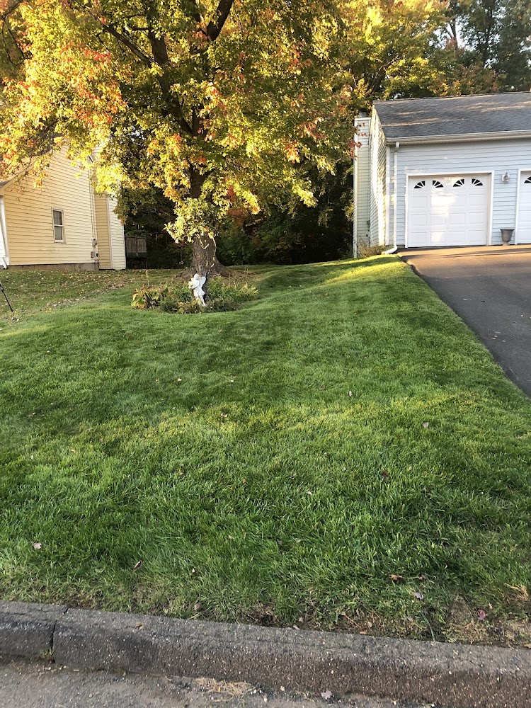 Landscaping Bolster LLC