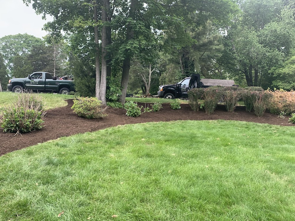 Palmieris Lawn Care LLC