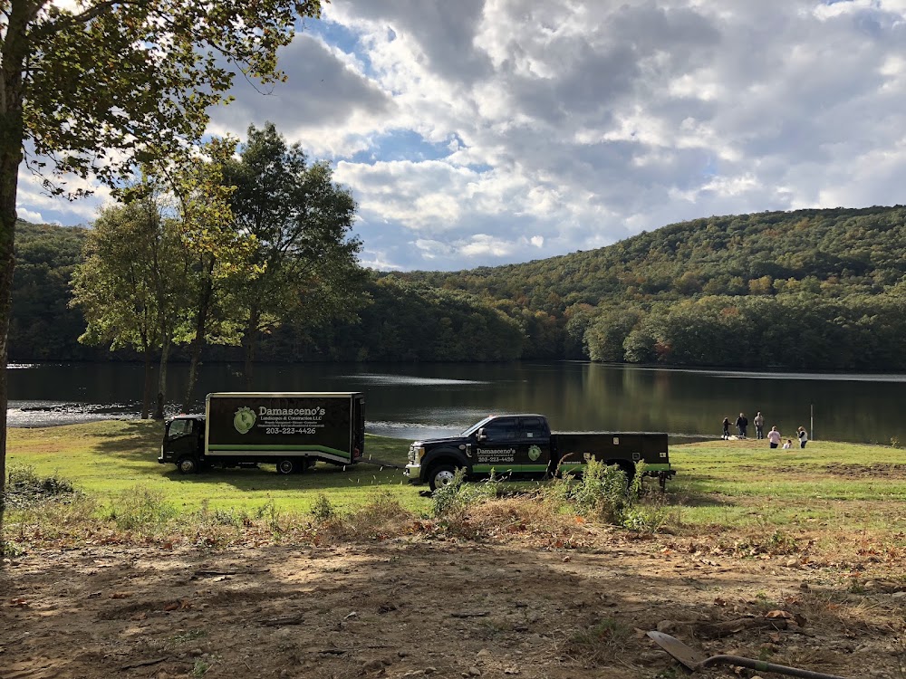 Damasceno's Landscapes and Construction, LLC