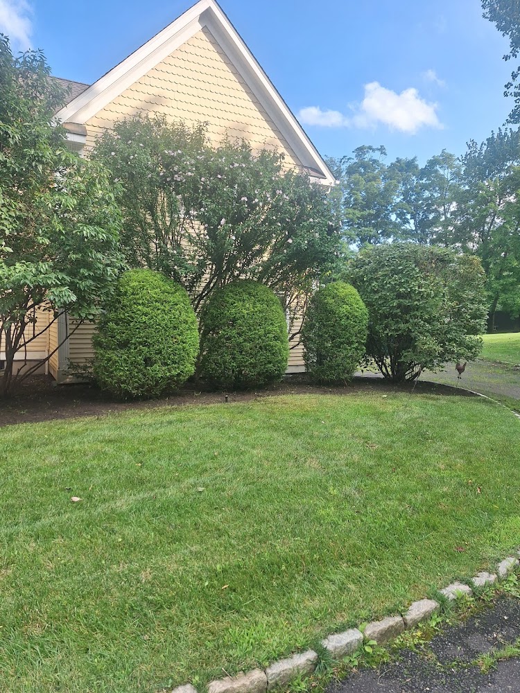 Estate Lawns & Gardens
