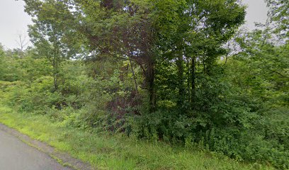Kenneth R Jay Landscape Maintenance