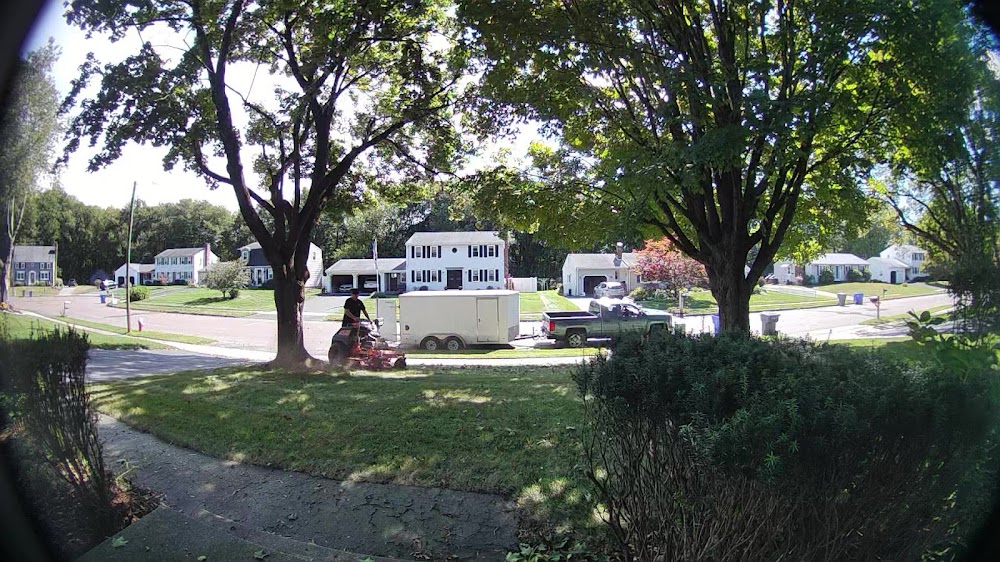 LawnStarter Lawn Care Service