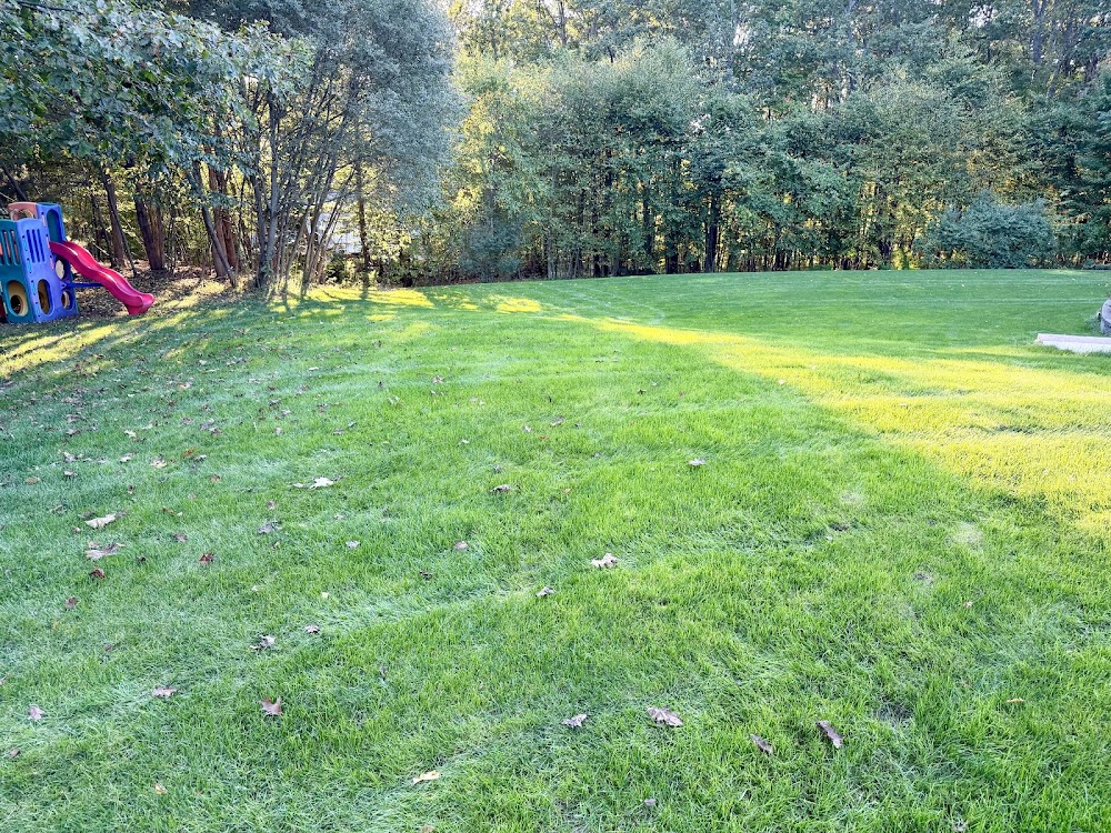 Bailey Boys Lawn Care LLC