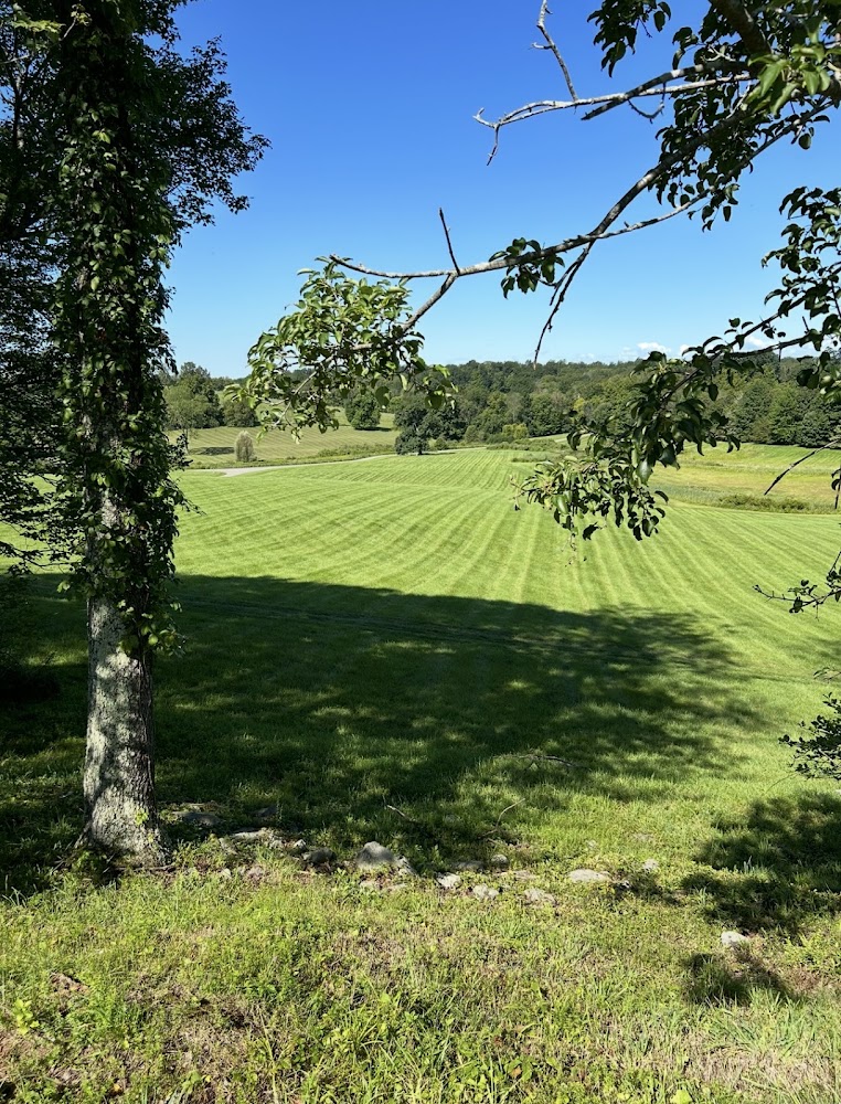 Apex Lawn & Landscape