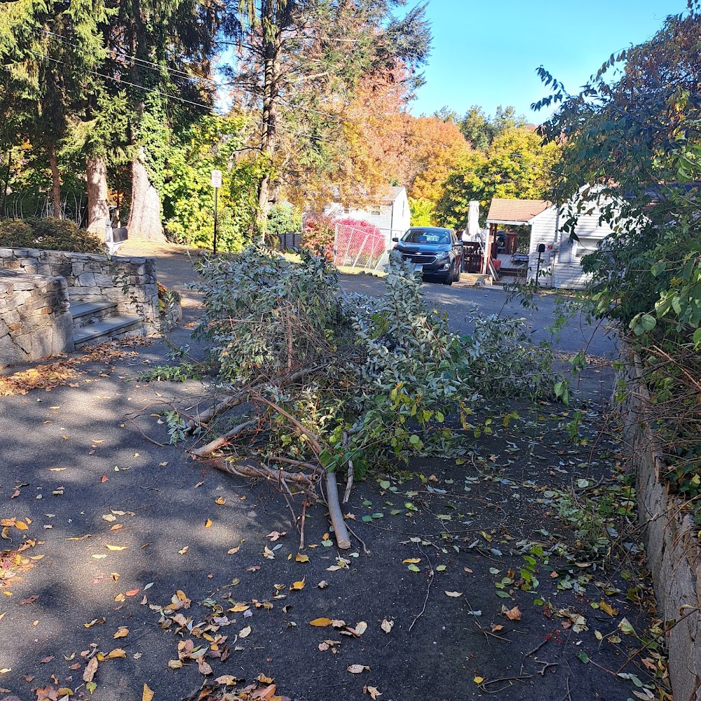 3 C's Land Services LLC