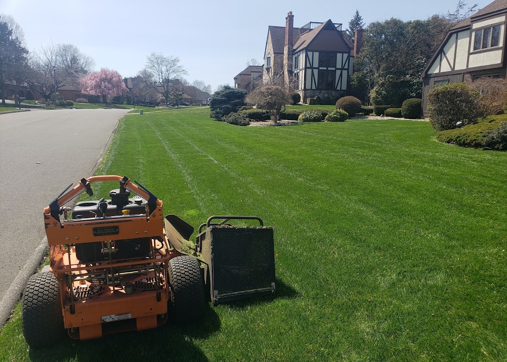 M LEON LANDSCAPING LLC