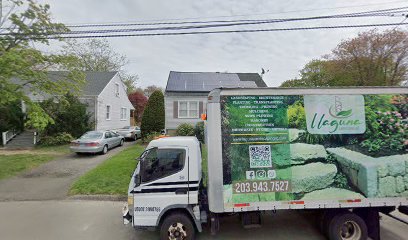 Laguna landscaping llc