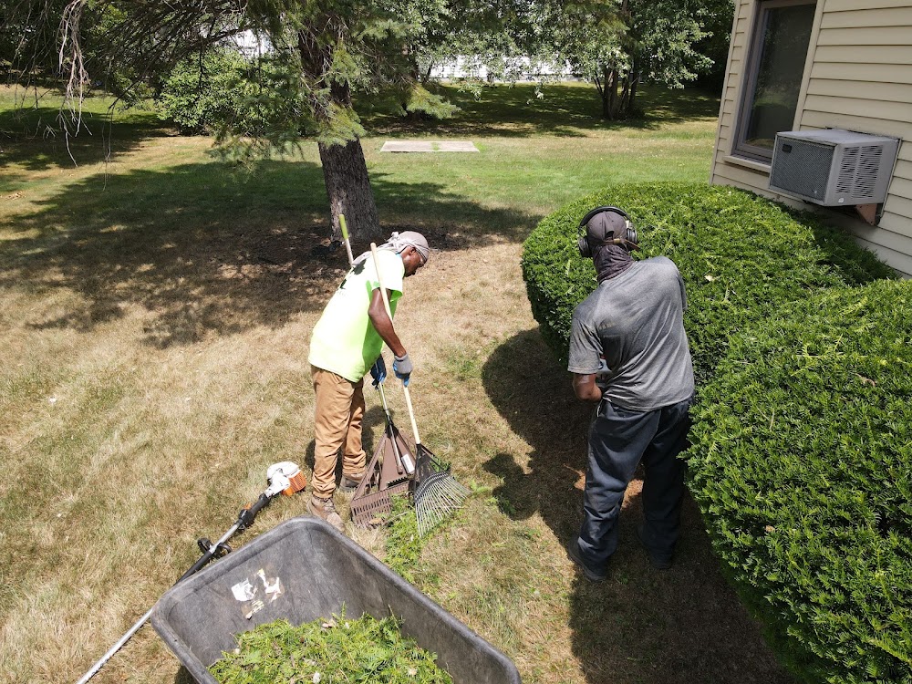 Jara Management