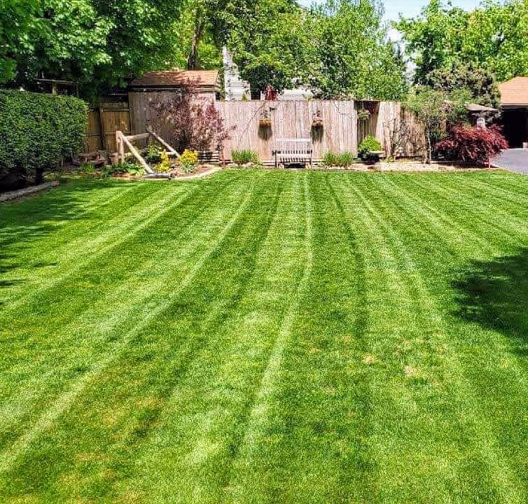 Jared's Lawncare/ Landscaping