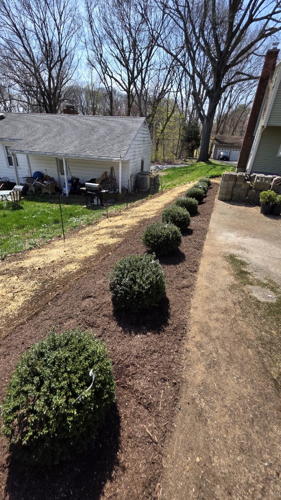 A&F tree services and landscaping
