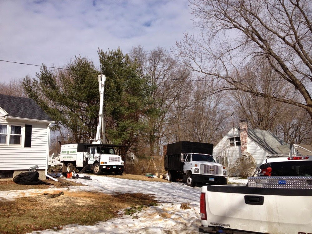 Affordable Landscaping & Tree Service LLC