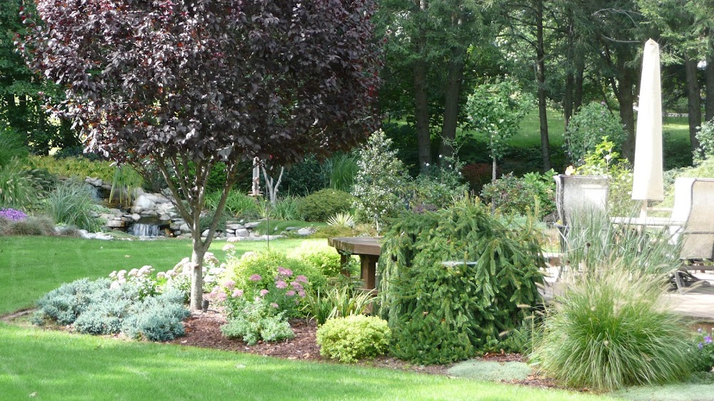 Green Thumb Landscaping