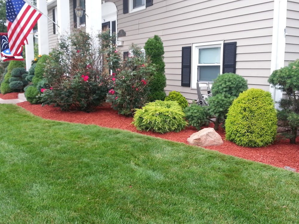 M&G Landscaping, LLC